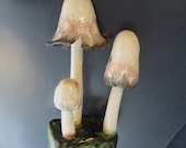 Lantz Lorenzen Mushrooms Figure Coprinus Comatus Mushroom