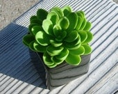 Set of 3 Miniature Artificial Succulent Planters for Fathers Day