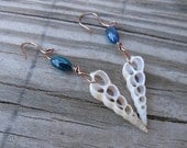 Handmade Beach Earrings - Sliced White Seashell Earrings - Blue Beads - Handmade Jewelry - Beach Earrings