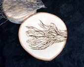 Wall art tree slice wood burned natural birch tree bark, fallen tree original