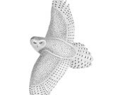 Snowy owl flies north - Original graphite pencil drawing