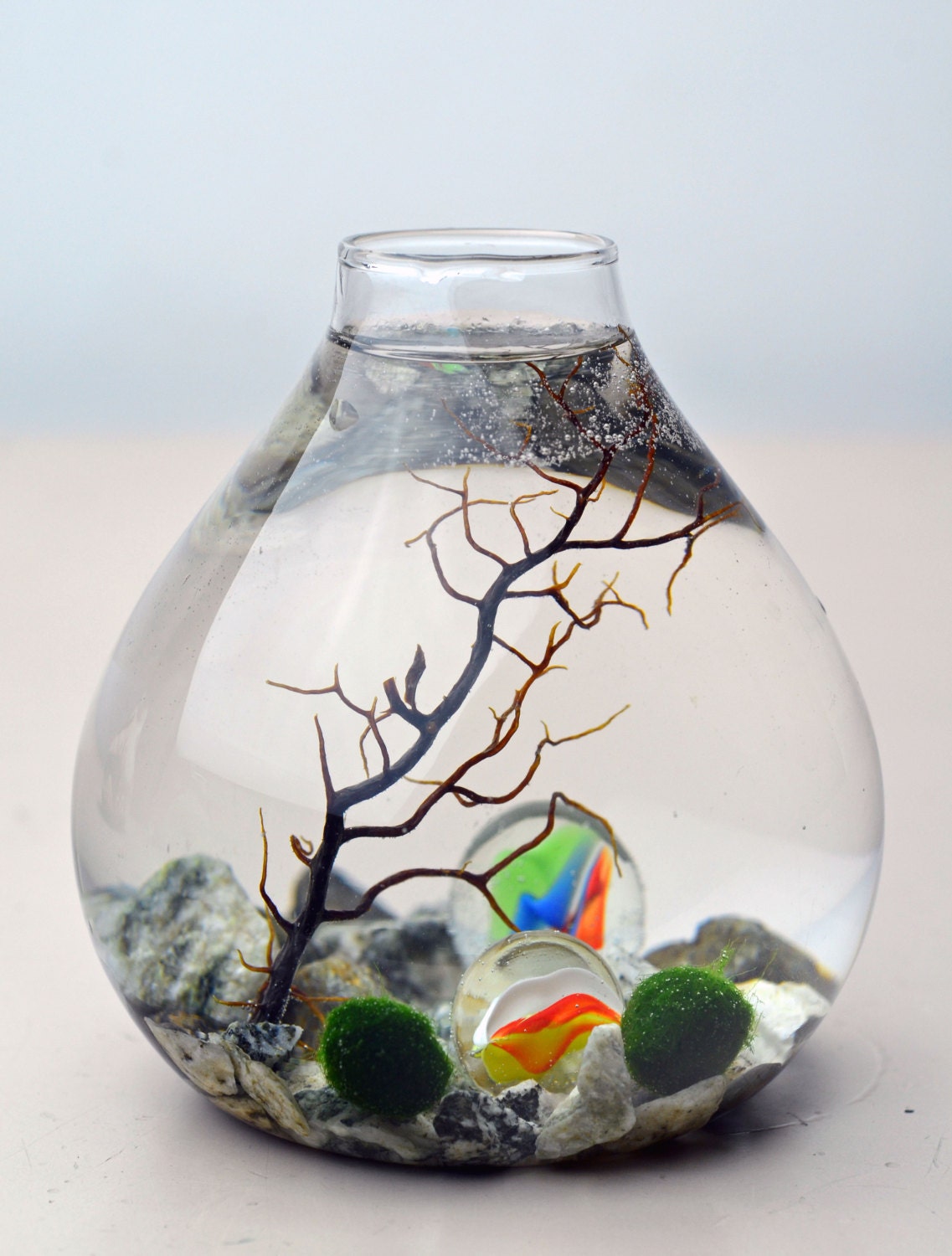 Marimo Aquatic Terrarium - Japanese Moss Ball - Teardrop Vase - Sea Fan - Marbles - Living Home Decor