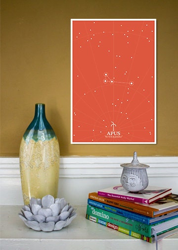 Divine Lines: The Constellations // Apus - The Bird of Paradise // 13x19 Fine art Giclee Print
