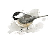 Chickadee watercolor painting - 5x7 bird print