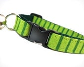 Cat Collar - "Sweet Tart" - Apple Green Stripes on Dark Green