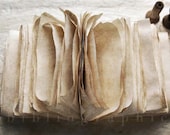 Pages No. 2 - Fine Art Photography, Pages, Reading, Journal, Old Paper, Story, Bibliophile, Library, Dreamy, 5 x 3.5 inches - bibliographica