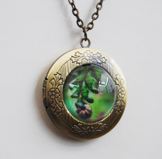 Locket Pendant necklace with new zealand fern print in brass nature lover's wearable art photo