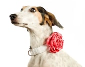Wedding Dog Collar Flower - Coral Satin - BowWowCouture