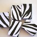 Zebra Animal Print Boxes, Earring Size, Set of 10, Cotton Filled