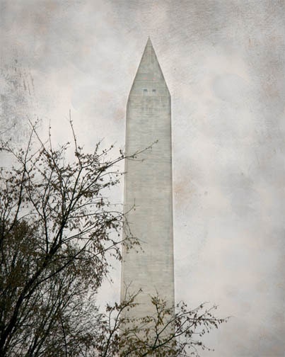 Washington Monument Photograph - gray grey white Washington DC 8x10 historical National Mall nations capital