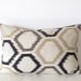 Decorative pillow cover - Lumbar pillow - Ikat pillow - 12x18 - Dwell Studio - Ikat trellis - Beige - Brown - Black