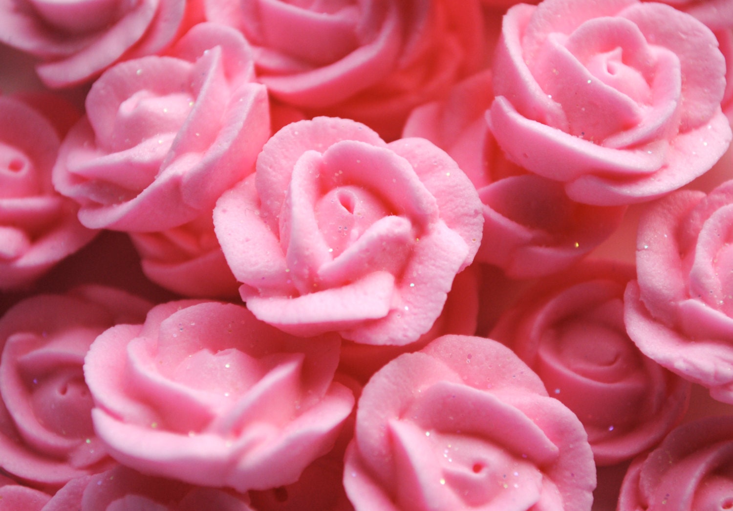 Royal Icing Roses Sparkling Pink 3/4 24 by cupcakesbychristy