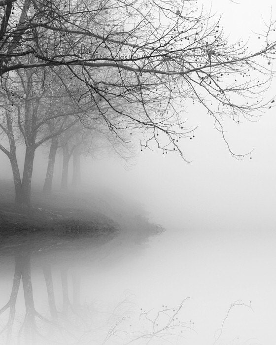 black and white photography, trees, fog, landscape, nature, WINTER TREE REFLECTIONS_ 8 x 10 print - NicholasBellPhoto