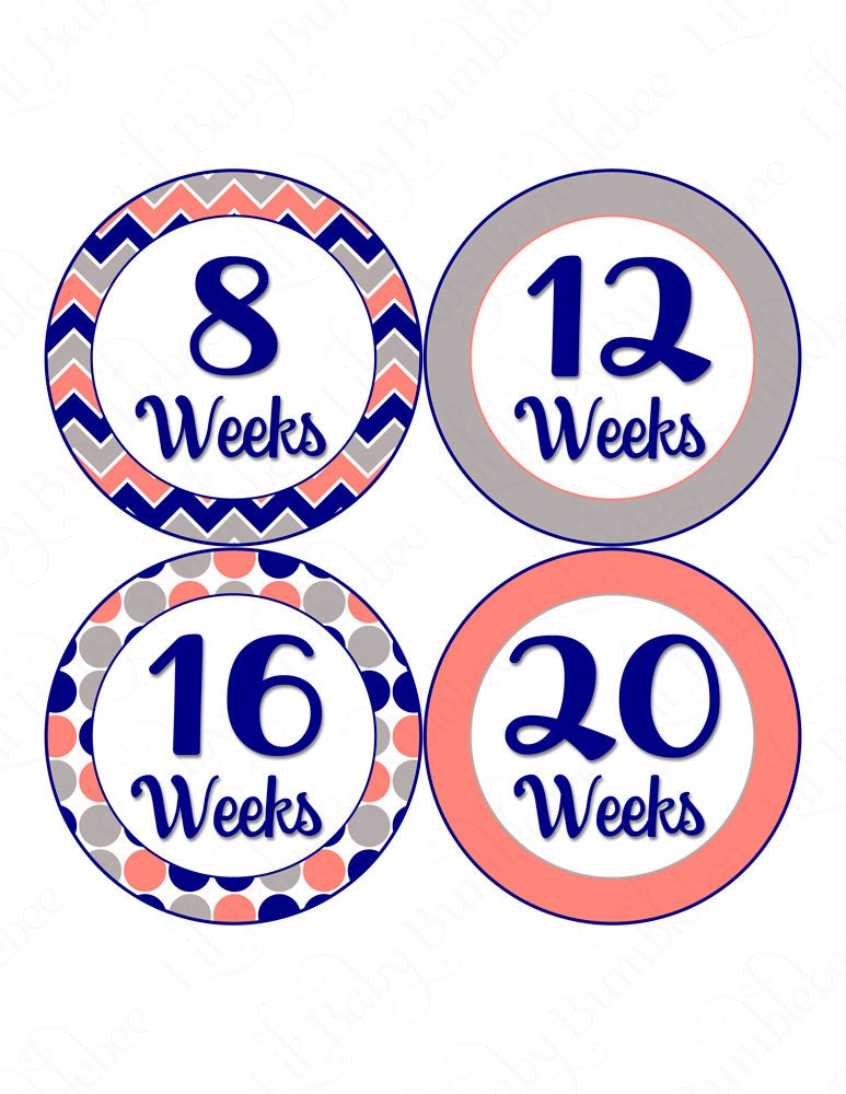 Pregnancy Stickers Pregnancy Announcement by LittleBabyBumblebee