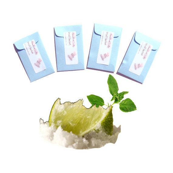 Scented Sachets 4 Cool Citrus Basil Type Sachets - Outdoor Inspired Gift Under 20 - Basil Mini Party Favors - Rustic Lime - Pastel Blue