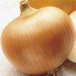 Utah Yellow Sweet Spanish Onion Seeds Organic by BoxGardenOrganics