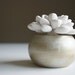 White Succulent Sculpture In Modern Round Container, Office Desktop Accessory