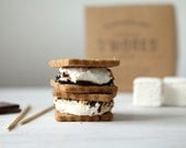 S'mores Kit with house-made graham crackers and marshmallows - whimsyandspice