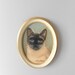 1960s original oil painting of a siamese cat // oval framed wall hanging