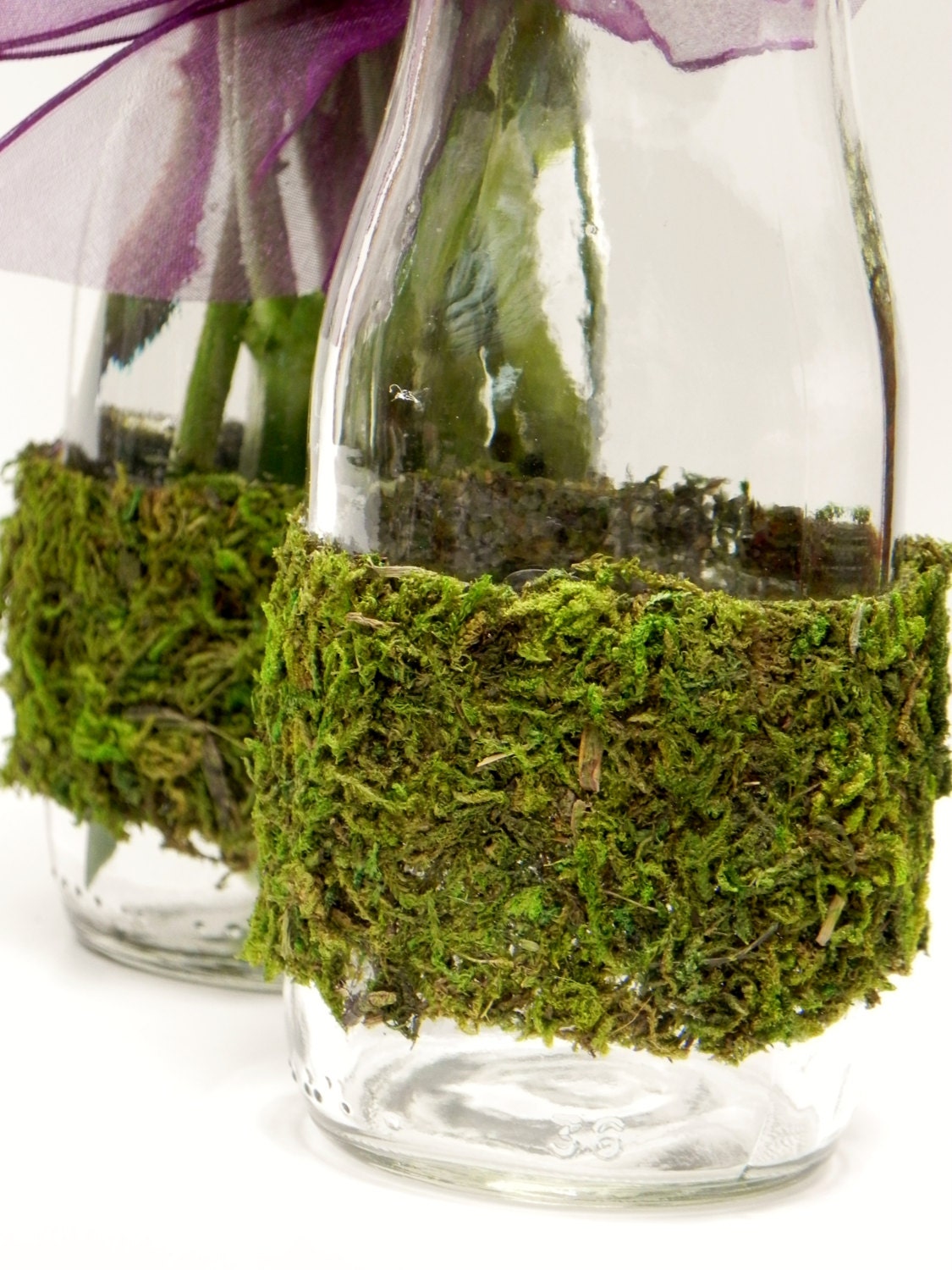 Moss Covered Bottles - ForeverBouquet