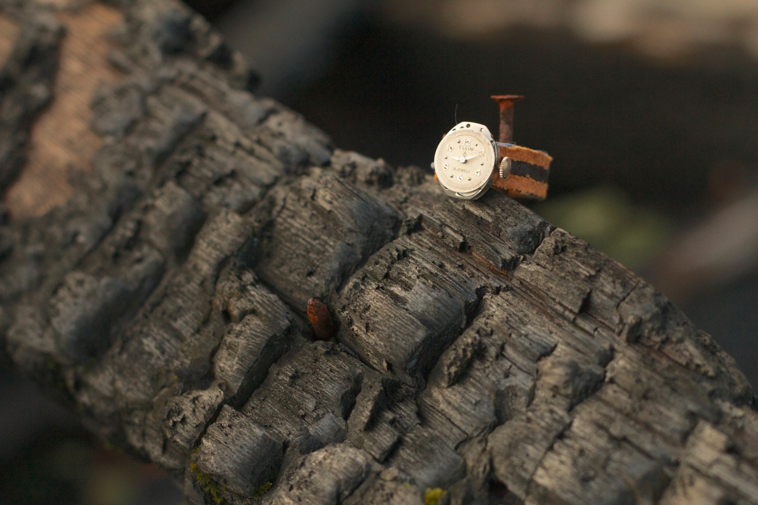 Watch Ring