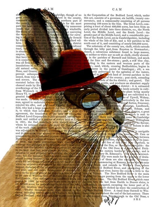 Steampunk Art Print Steampunk Hare Art Book Page Wall Art Wall Decor Poster Hare in Bowler Hat, rabbit print