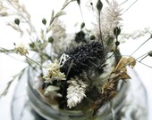 Nature Photography, Wild Flowers in a Jar, Wild Flowers, Still Life Dry Flowers, Hippie Love, Mother Earth, Rustic Home Decor Photography - TheMagiciansCat