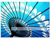 Blue Parasol Photo Print