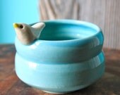 Sweet Little White Bird on a Tiny Aqua Blue Bowl