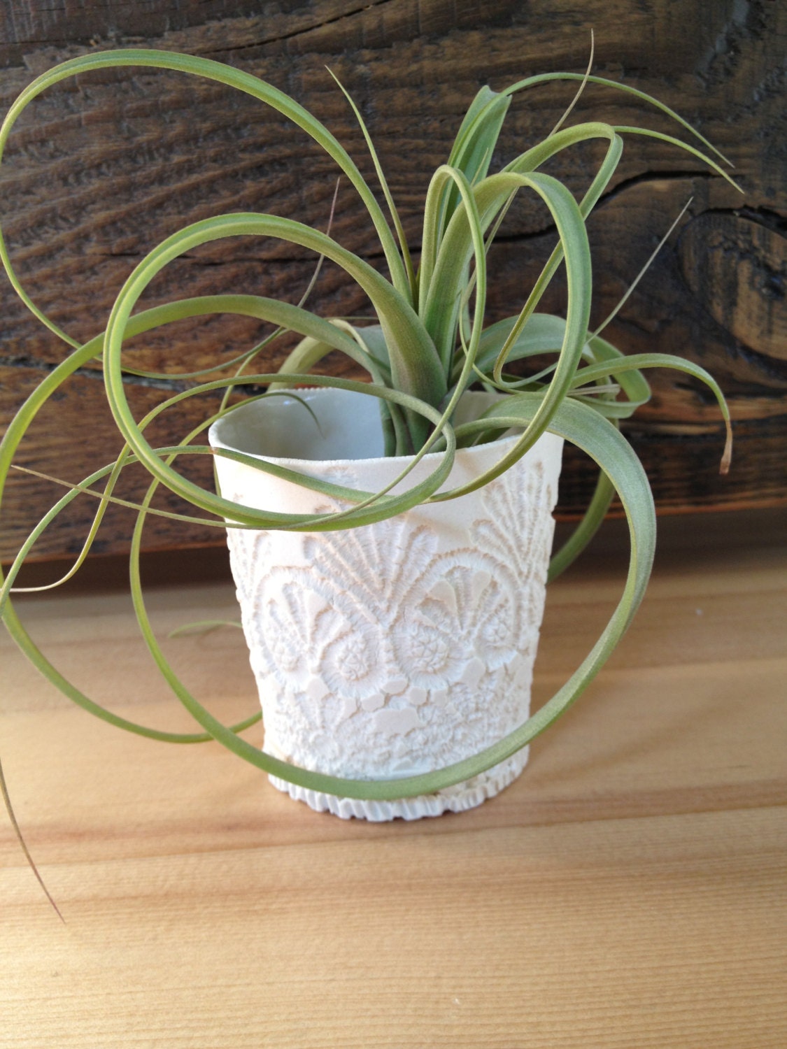 fringe imprint candle holder translucent clay 3 inch