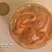 Bizarre Alien Fetus Ornament 4