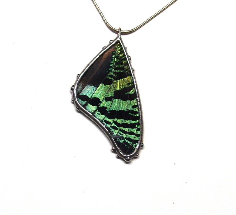 Green and Black Sunset Moth Necklace - Real Butterfly Jewelry