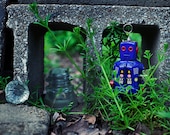 tin toy robot, "green" 8x10 print, spring, blue, robot, toy photography, grass, finds, hiding,
