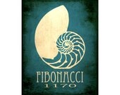 Fibonacci Sequence 11x14 Art Print - Science Poster Nautilus Shell, Math Art Decor