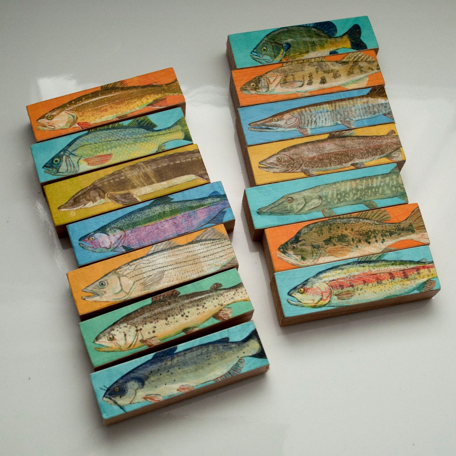 Whole Mess of Fish Sticks - Freshwater Fish Art Block Set of 14 Gifts for Fisherman - Coastal Decor - Fathers Day Gift for Dad - Gift