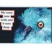 Crazy - bird MAGNET