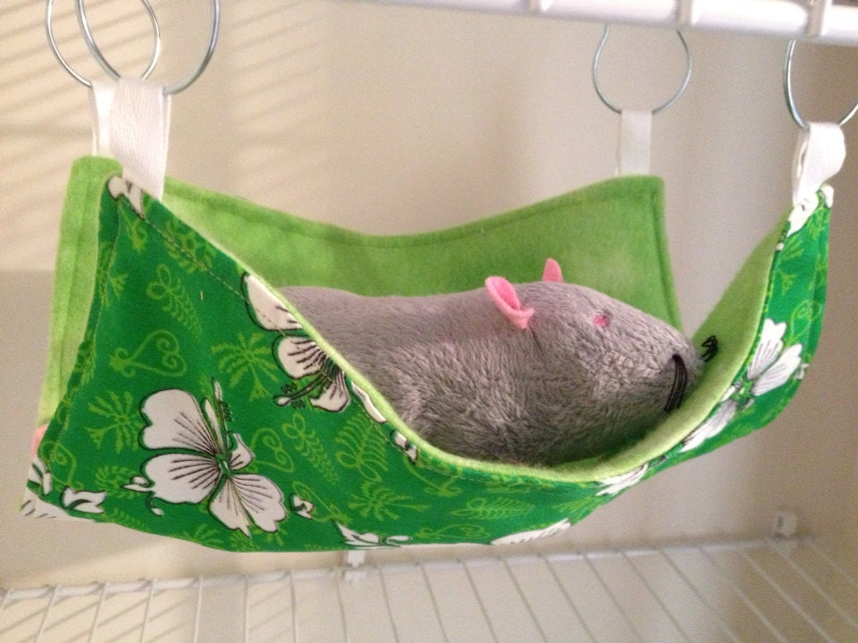 Hawaiian Hammock
