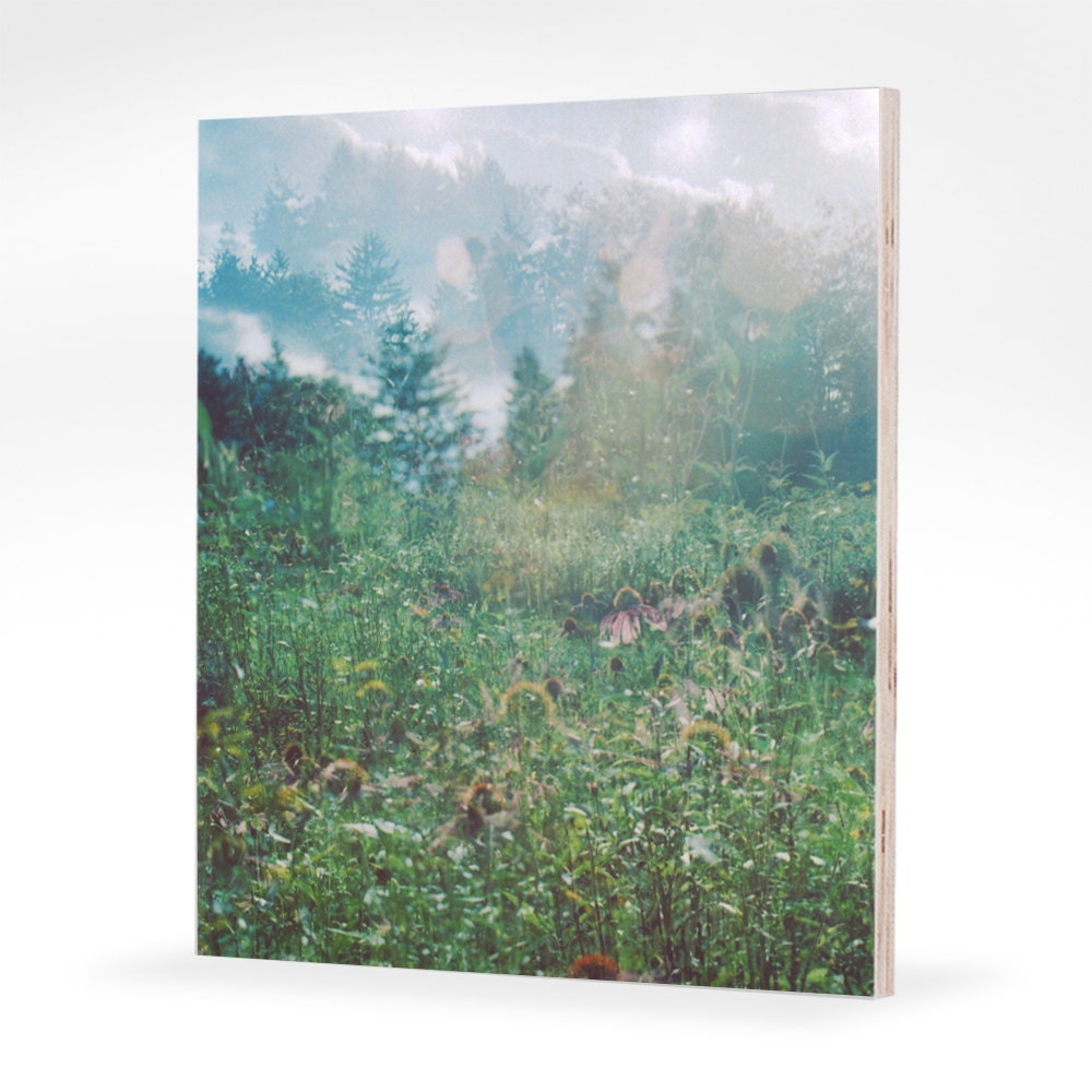 reverie.  8" x 10" photograph mounted to maple panel.  ready to hang.