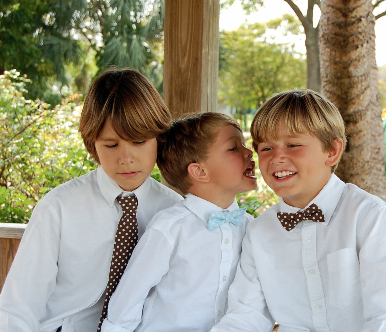 Boys Brown and Light Blue Dot Print Bow Tie, pre-tied and adjustable, bowtie in infant, toddler, child, preteen boy sizes
