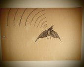 Original Drawing - Bat Sonar
