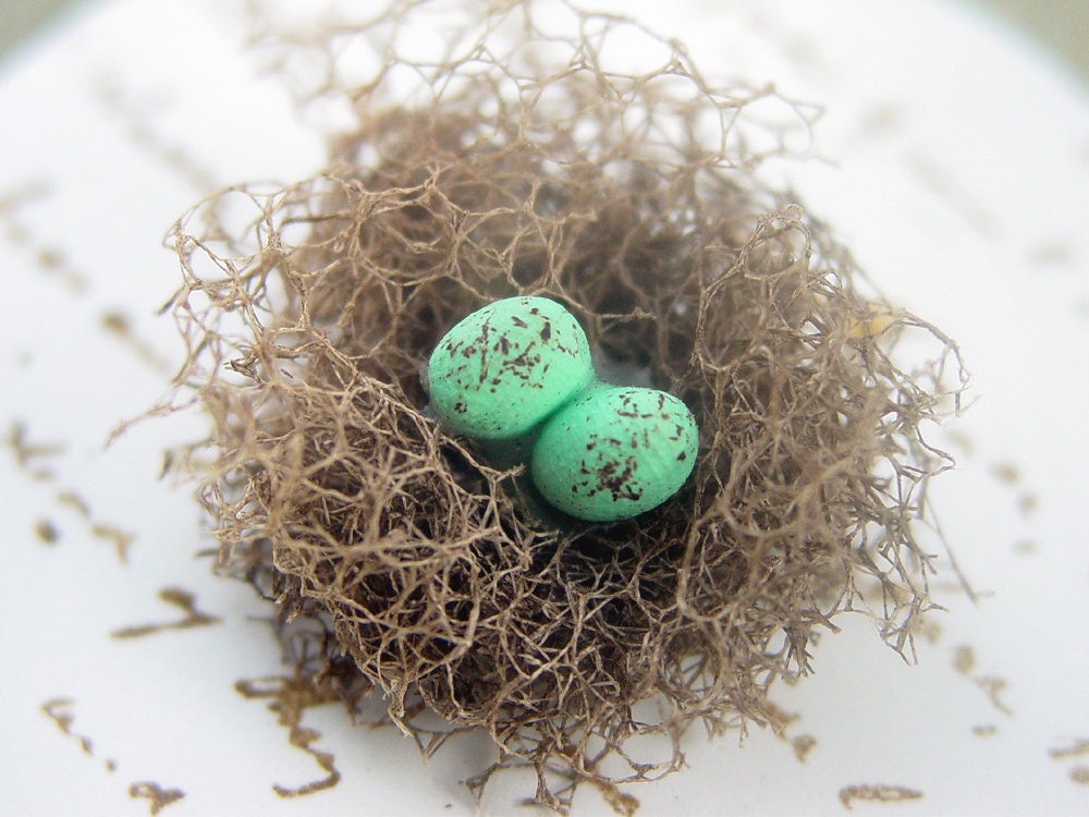 Bird Nest Tags Set of 10 with 2 eggs Buy 2 sets get one free.