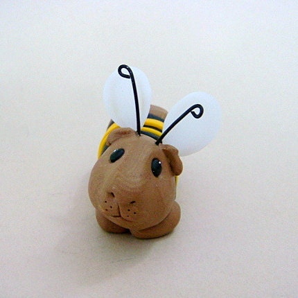 A Guinea Pig Dressed Like a Bee