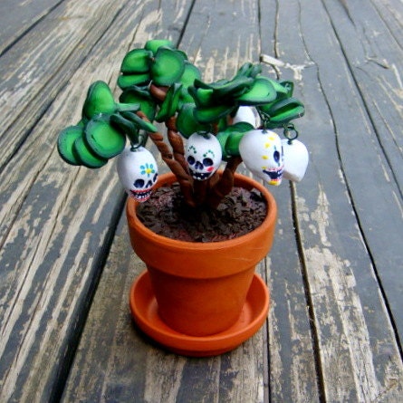Calavera Plant