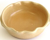 Brie Baker - Golden Desert Glaze