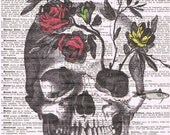 Rose.Skull,flowers.skeleton head.Colour.Antique French Book Page Print.Birthday. Gift,buy 3 get 1 free,home deco, wall.mom.fathers day