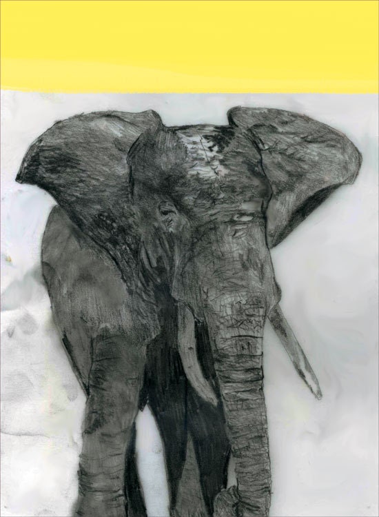 CHARITY / elephant poster/archival print