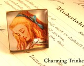 Resin Ring with Alice in Wonderland Adjustable in Brass