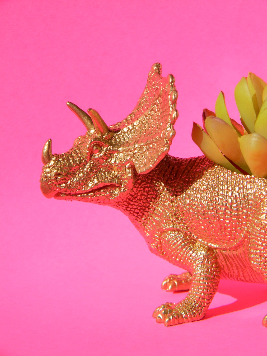 Dinosaur Planter Gold Succulent Planter Triceratop Great Office Decor
