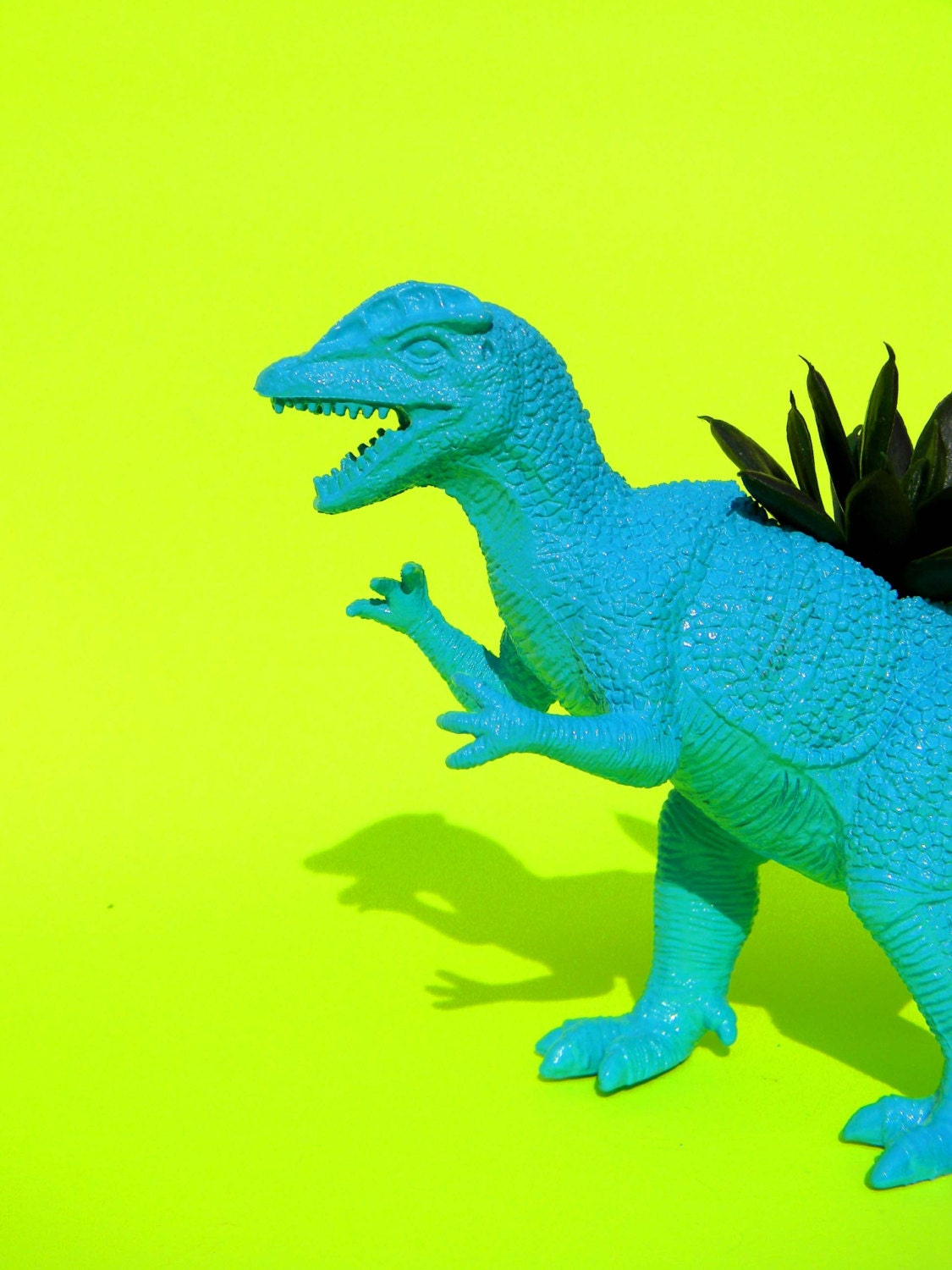 Dinosaur Planter BIRTHDAY GIFT Great Dorm Office Home Decor Gift for Get Well  Boss' Teachers