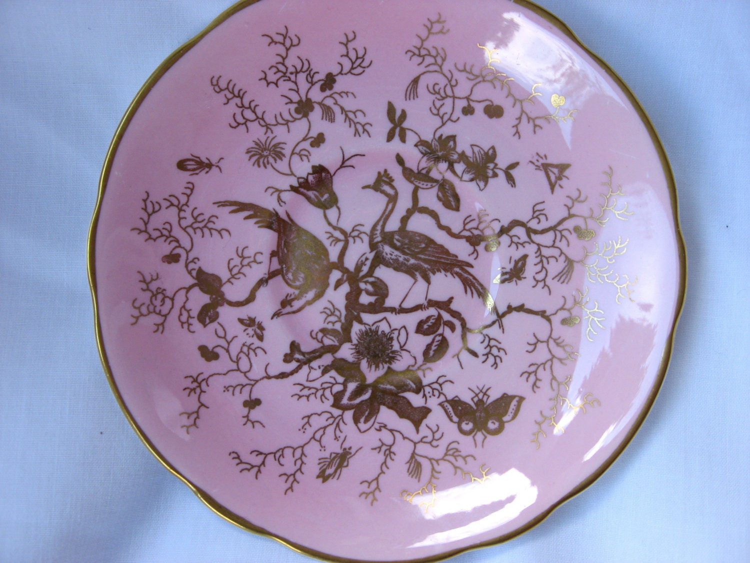 Coalport Golden Cairo Pink Peacock Saucer Bone China England